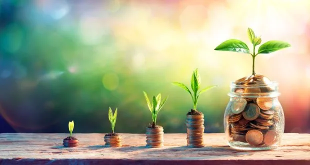 grow and attract money into your life through starting a blog image of growth